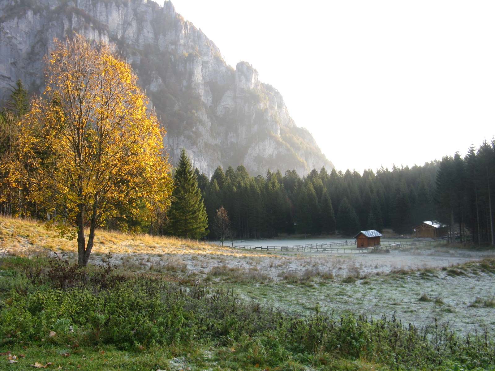 Cimon de Cajada: sulle tracce dei camosci.